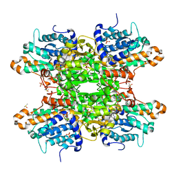 BU of 8cft by Molmil