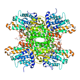 BU of 8cfw by Molmil