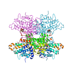 BU of 8cg2 by Molmil