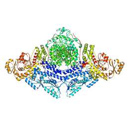 BU of 8cg4 by Molmil