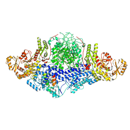 BU of 8cg6 by Molmil