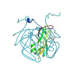 BU of 8cga by Molmil