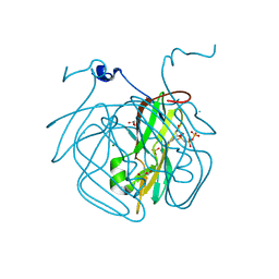 BU of 8cga by Molmil