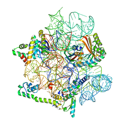 BU of 8cgi by Molmil