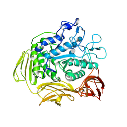 BU of 8cgt by Molmil