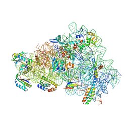 BU of 8cgu by Molmil