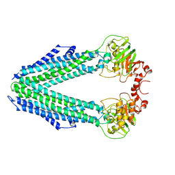 BU of 8chb by Molmil