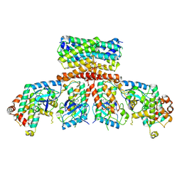 BU of 8chf by Molmil