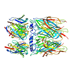 BU of 8ci1 by Molmil