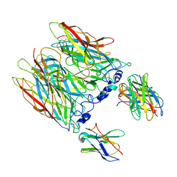 BU of 8ci2 by Molmil