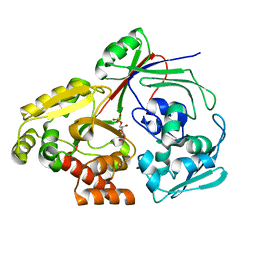 BU of 8ci6 by Molmil