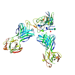 BU of 8cii by Molmil