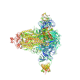 BU of 8cin by Molmil