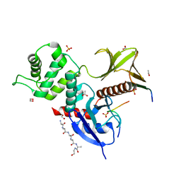 BU of 8cis by Molmil