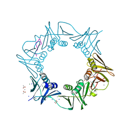 BU of 8cix by Molmil