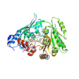 BU of 8cj9 by Molmil