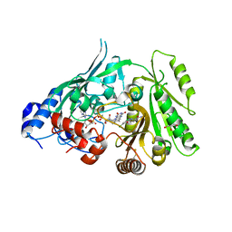 BU of 8cj9 by Molmil