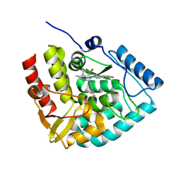 BU of 8cjn by Molmil