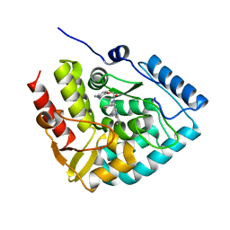 BU of 8cjo by Molmil