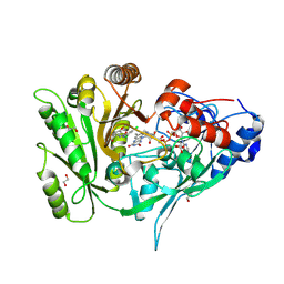 BU of 8ck6 by Molmil