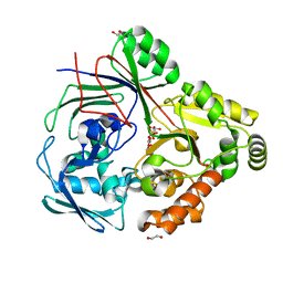 BU of 8ckd by Molmil