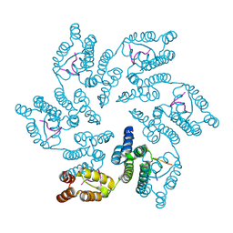 BU of 8cl1 by Molmil