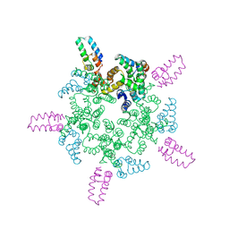 BU of 8cl2 by Molmil