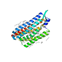 BU of 8cl7 by Molmil