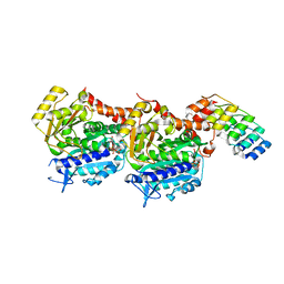 BU of 8cl9 by Molmil