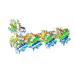 BU of 8clb by Molmil