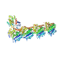 BU of 8clf by Molmil