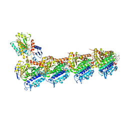 BU of 8clh by Molmil