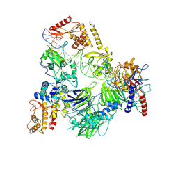 BU of 8cli by Molmil