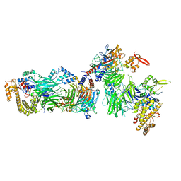 BU of 8cll by Molmil