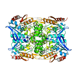 BU of 8clq by Molmil