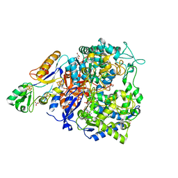BU of 8cm4 by Molmil
