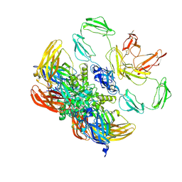 BU of 8cmt by Molmil