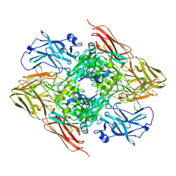 BU of 8cmu by Molmil