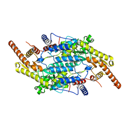 BU of 8cmx by Molmil