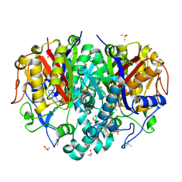 BU of 8cn2 by Molmil