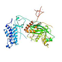 BU of 8cna by Molmil