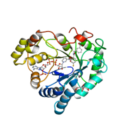 BU of 8cnp by Molmil