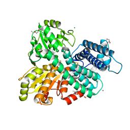 BU of 8cnr by Molmil