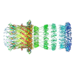 BU of 8co1 by Molmil