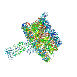 BU of 8coa by Molmil