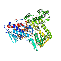 BU of 8cp2 by Molmil