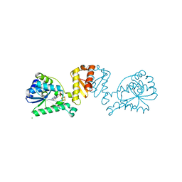 BU of 8cp4 by Molmil