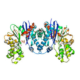 BU of 8cp9 by Molmil