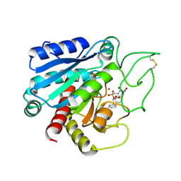 BU of 8cpa by Molmil