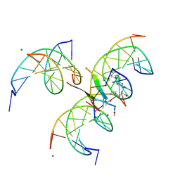 BU of 8cpg by Molmil